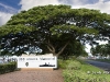 hawaii-07_0003