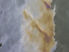 hawaii-07_0012