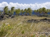 hawaii-07_0065
