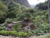 hawaii-07_0089