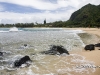 hawaii-07_0146