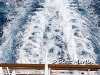 hawaii-07_0165