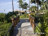 hawaii-07_0194