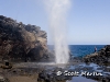 hawaii-07_0218