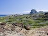 hawaii-07_0221