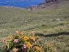 hawaii-07_0225