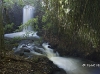 hawaii-07_0232