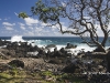 hawaii-07_0241