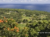 hawaii-07_0244