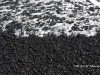 hawaii-07_0251