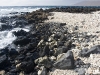 hawaii-07_0286