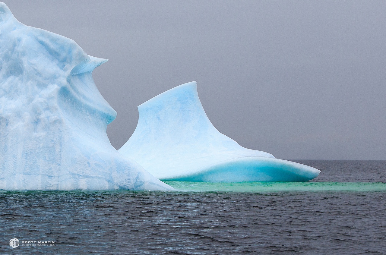Iceberg_0326