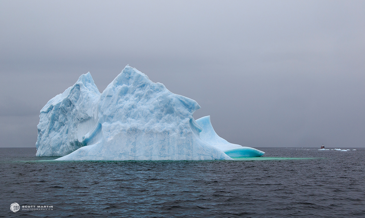 Iceberg_0333