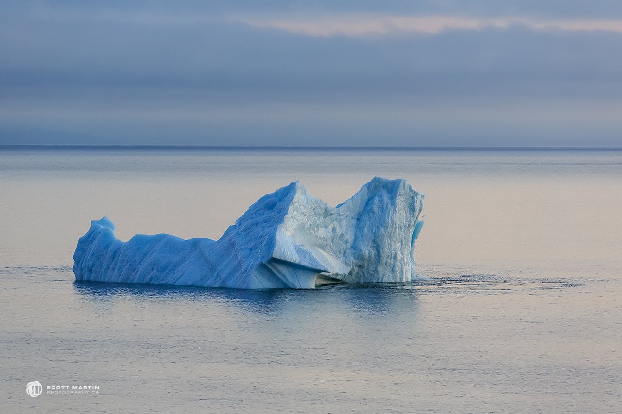 Iceberg_0774