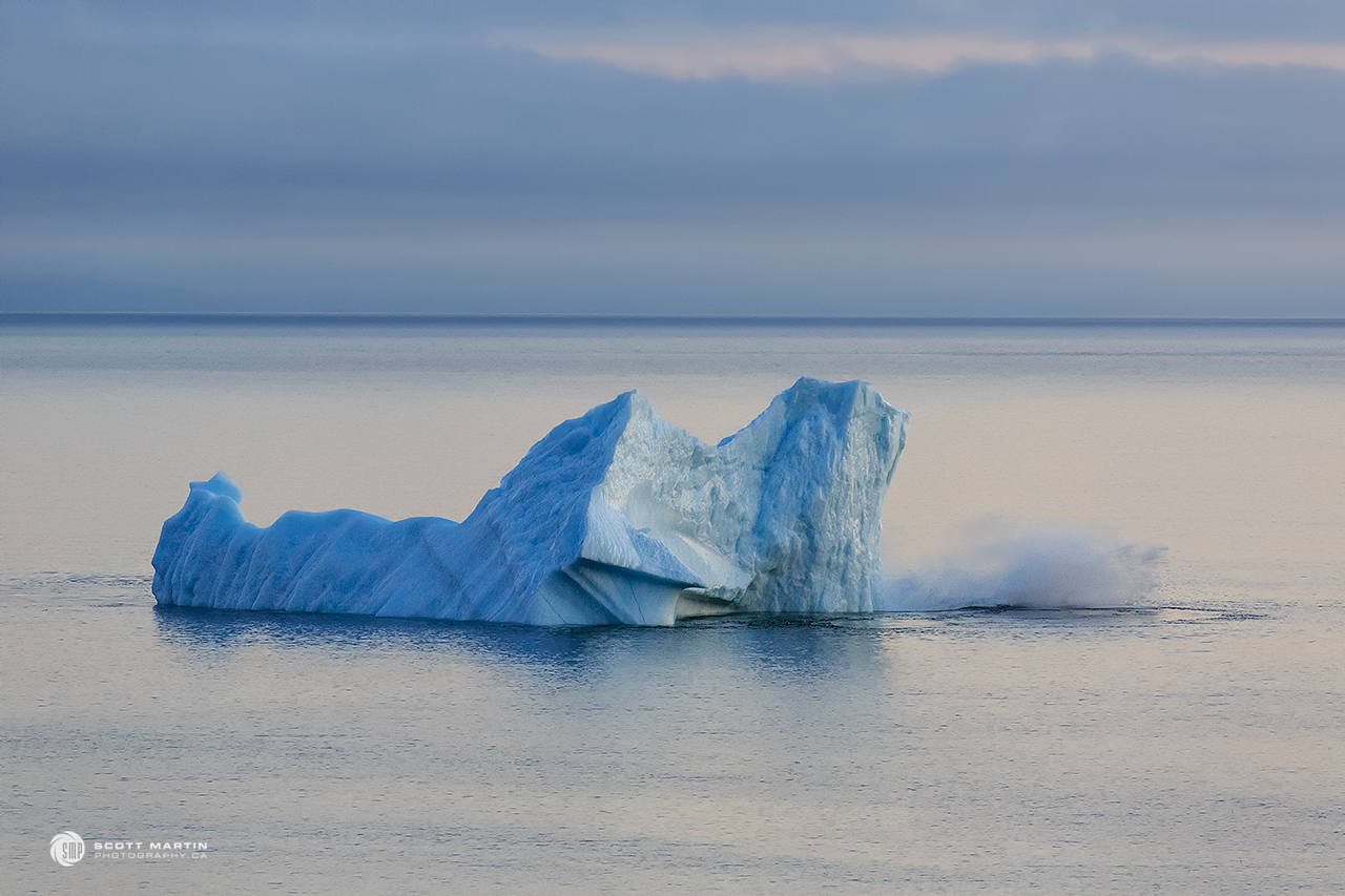 Iceberg_0778