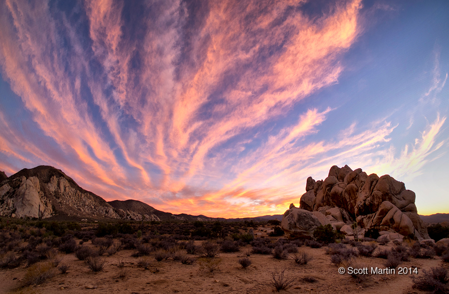 Joshua Tree 02