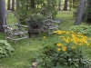 kilarney-garden-potn