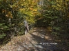 landscape-samples_001
