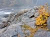 landscape-samples_005