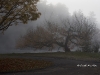landscape-samples_007