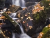 landscape-samples_020