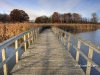 lynde-shores-hdrsmall