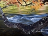 tree-branch-rapids