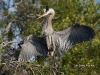 gbh-02
