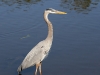 gbh-04
