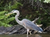 gbh-08