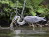 gbh-09