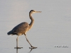 gbh-25