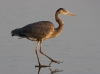 gbh-27