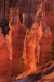 Bryce Canyon 2015_0115