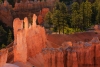 Bryce Canyon 2015_0130