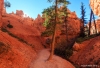 Bryce Canyon 2015_0176