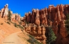 Bryce Canyon 2015_0250