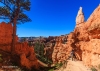 Bryce Canyon 2015_0269