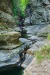 Watkins Glen Trail_0008