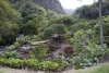 hawaii-07_0089