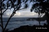 hawaii-07_0275