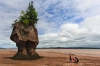 Hopewell Rocks_0038