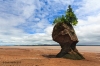 Hopewell Rocks_0047