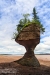 Hopewell Rocks_0057