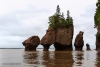 Hopewell Rocks_0178