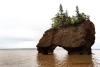 Hopewell Rocks_0187