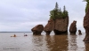 Hopewell Rocks_0201