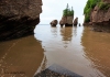 Hopewell Rocks_0210