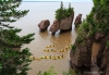 Hopewell Rocks_0231