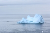 Iceberg_0037